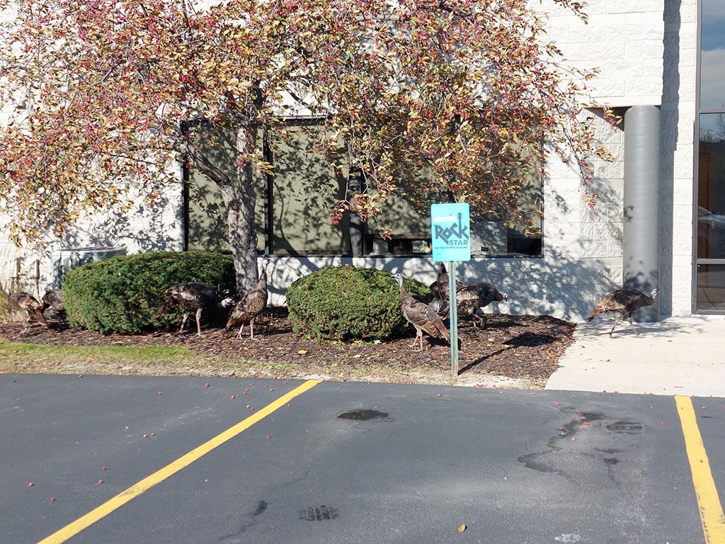 Our service statistics for May 7th are out!